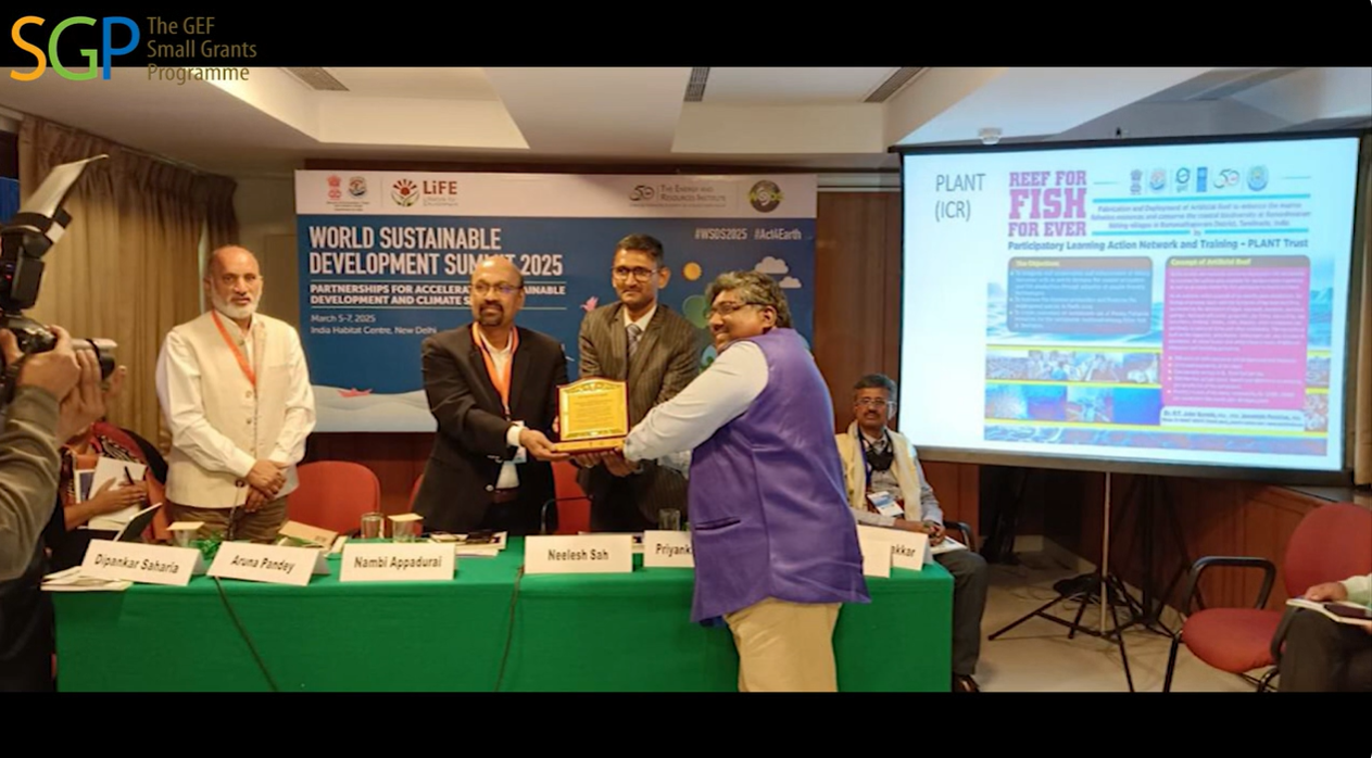 Community-Led Artificial Reef Restoration in Palk Bay