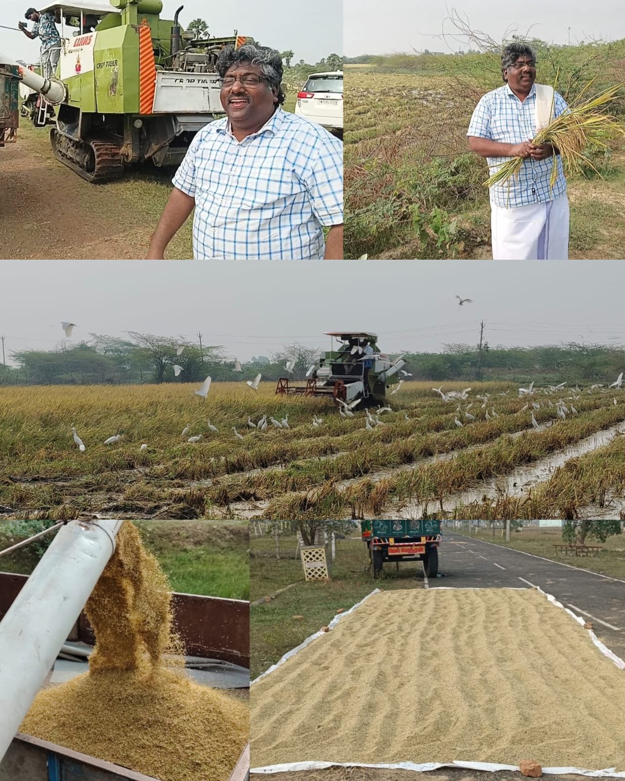 Farming and biodiversity meet in harmony